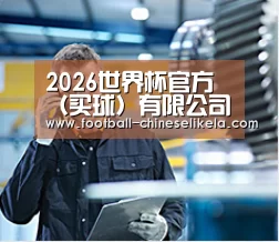 研发能力标题四