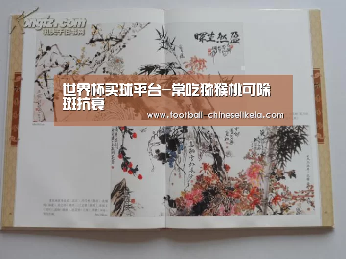 世界杯买球平台-常吃猕猴桃可除斑抗衰(图2) 世界杯买球平台
