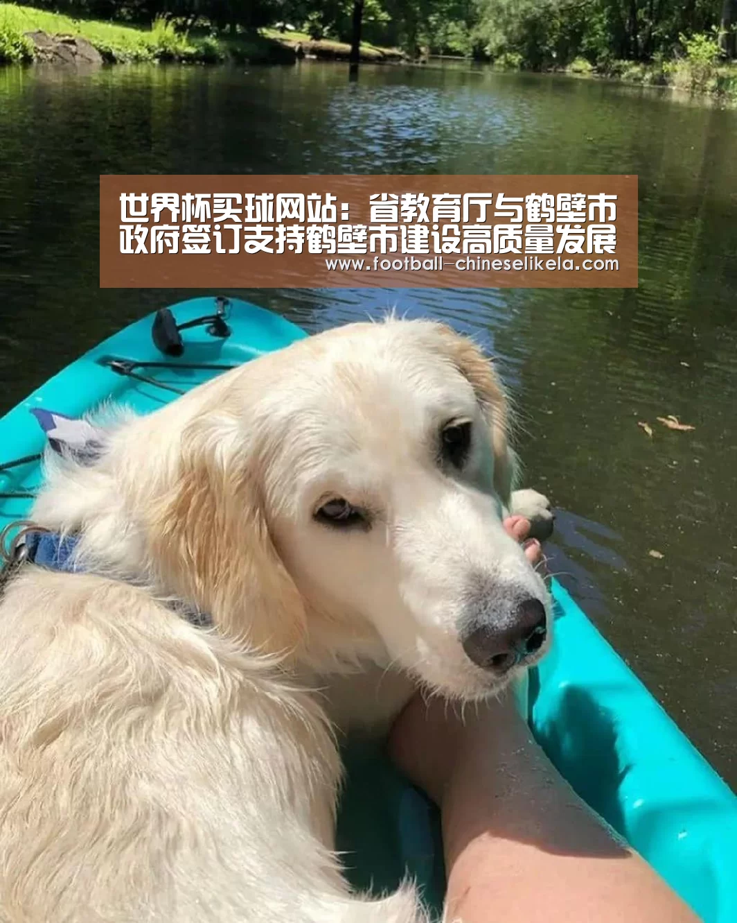 世界杯买球平台