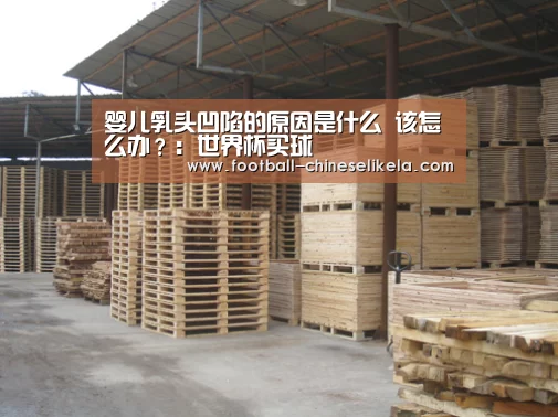 世界杯买球网站